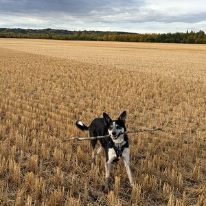 Meet your Posher, Jaden